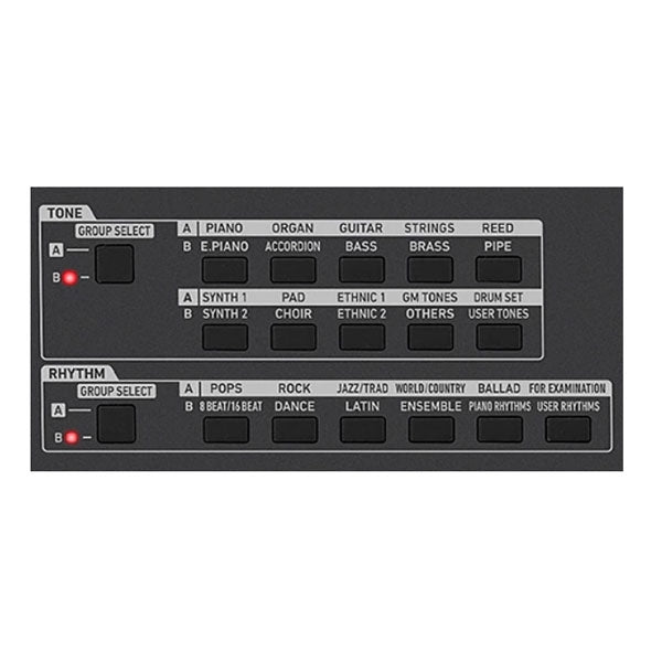 Casio CT-X9000IN Indian Keyboard